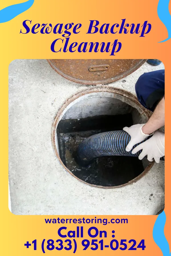 Sewage Backup Cleanup in Lake Annette, MO